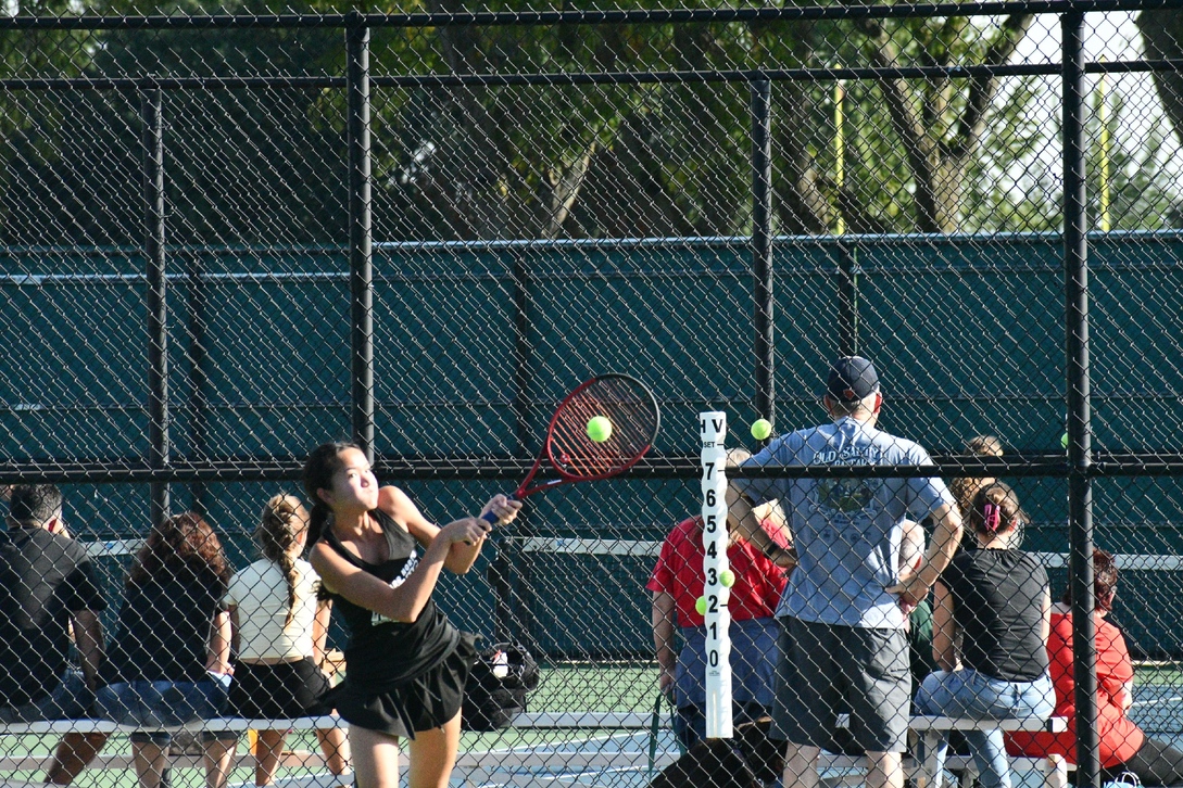 pic11